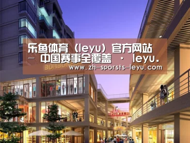 案例展示一(图1)