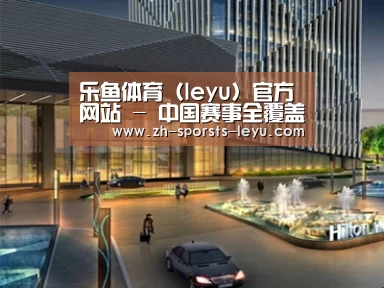 案例展示二(图1)