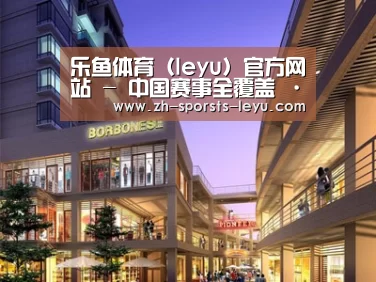 案例展示一